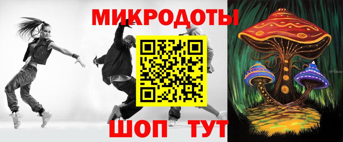 Галлюциногенные грибы Psilocybe Нальчик