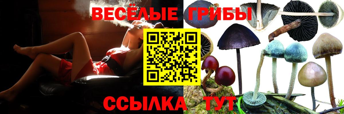 Галлюциногенные грибы прущие грибы  Галлюциногенные грибы мицелий  Вход с VPN  Нальчик 